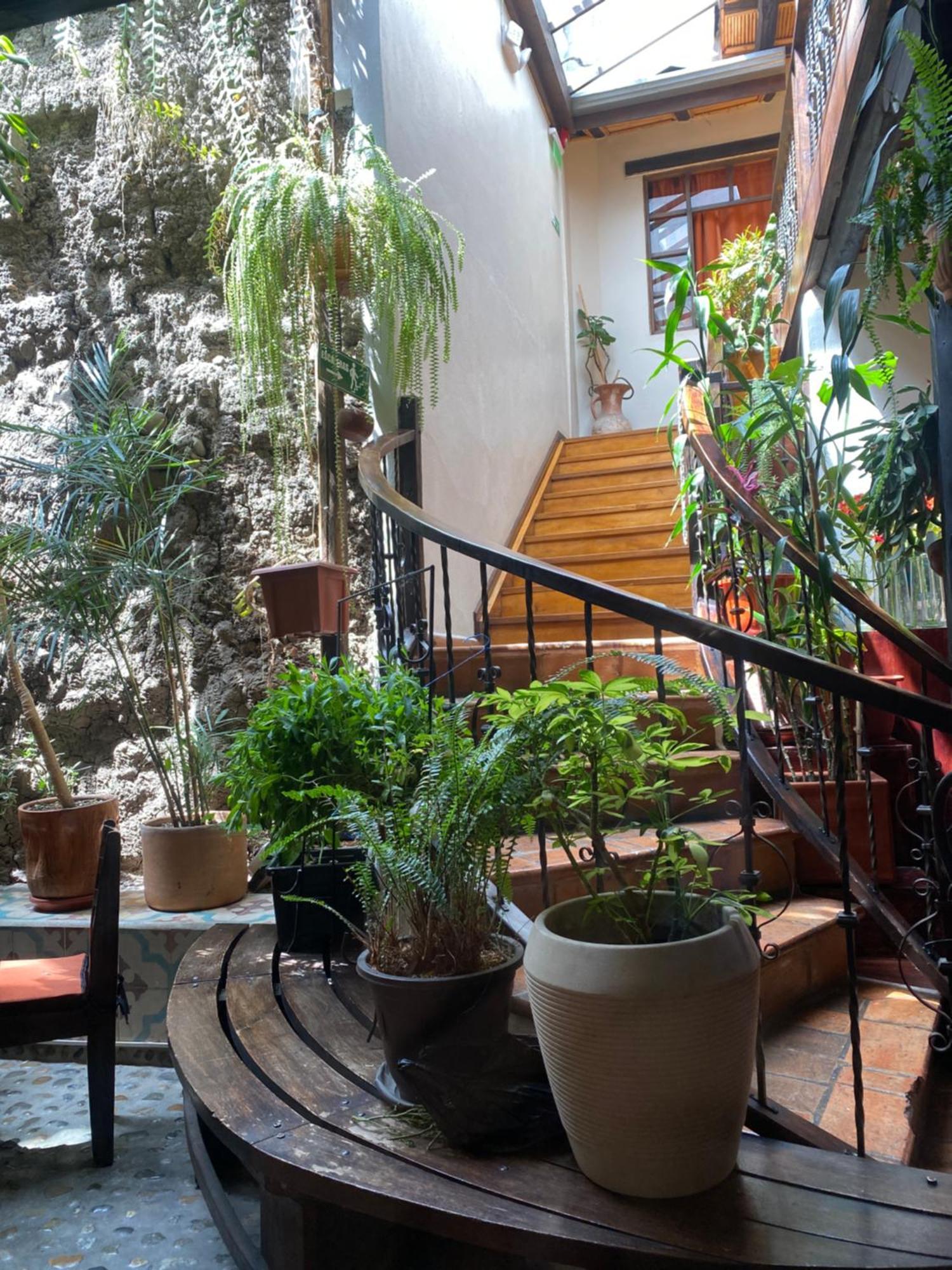 Hostal Restaurant La Cigale クエンカ エクステリア 写真